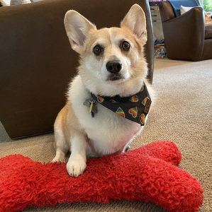 Fundraising Page: Hannah Wallenbrock